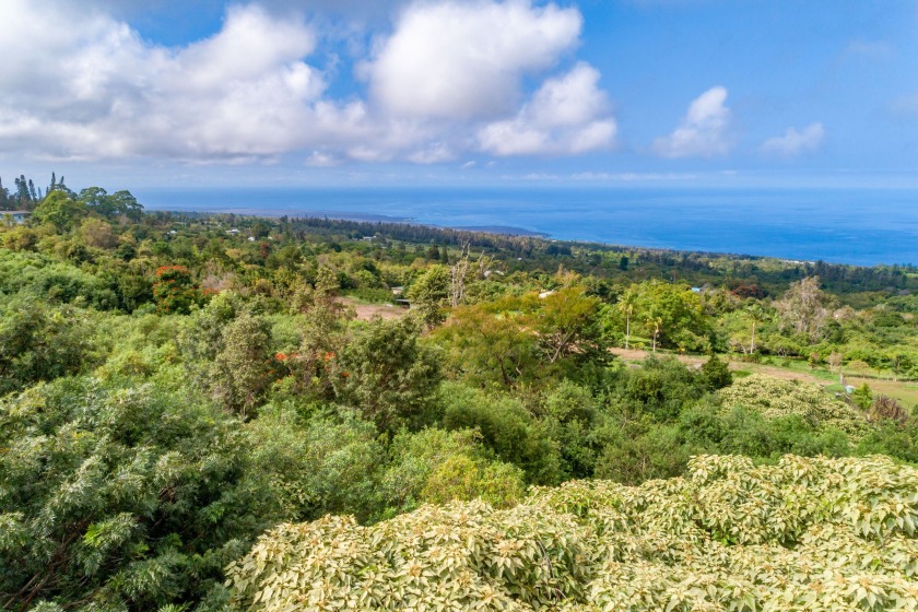 This 5-acre parcel in Honomalino Acres has endless opportunties - Beach Acreage for sale in Captain Cook, Hawaii on Beachhouse.com