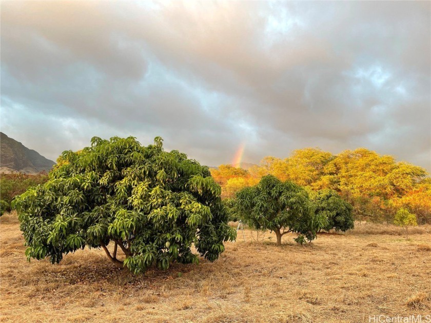 Diamond in the rough. 2 homes on 3.41 acres of farmland in - Beach Home for sale in Waianae, Hawaii on Beachhouse.com