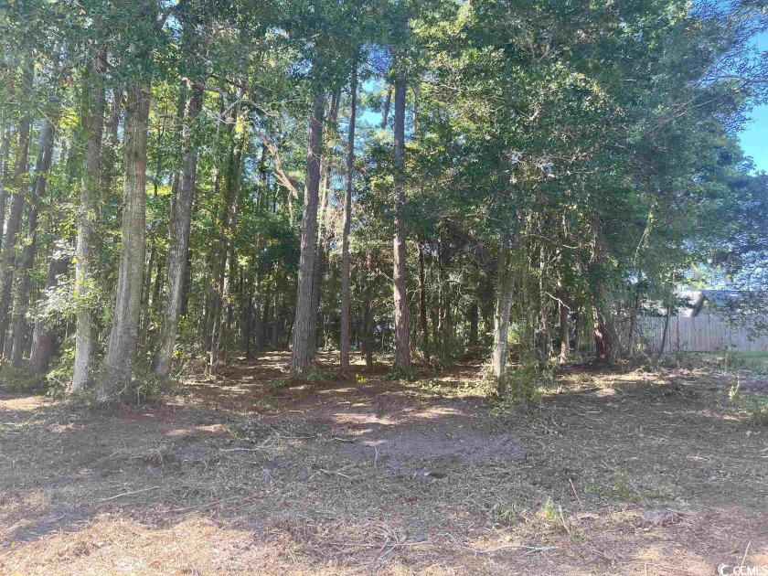 Great Location to build with NO HOA fees!! Great Lot to build - Beach Lot for sale in Little River, South Carolina on Beachhouse.com