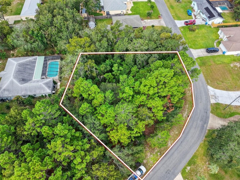 BUILD YOUR DREAM HOME on this spacious 0.40-acre CORNER lot - Beach Lot for sale in Spring Hill, Florida on Beachhouse.com