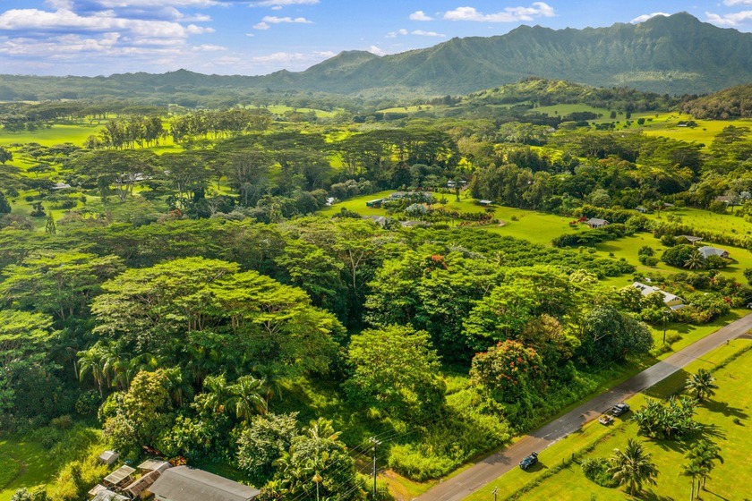 Northshore Kauai. Kuawa Road. Level 1.4 acres. Build a house and - Beach Lot for sale in Kilauea, Hawaii on Beachhouse.com