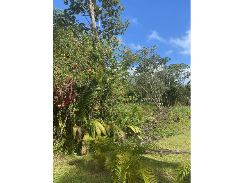 Affordable and Beautiful Building Lot that is located minutes - Beach Lot for sale in Pahoa, Hawaii on Beachhouse.com