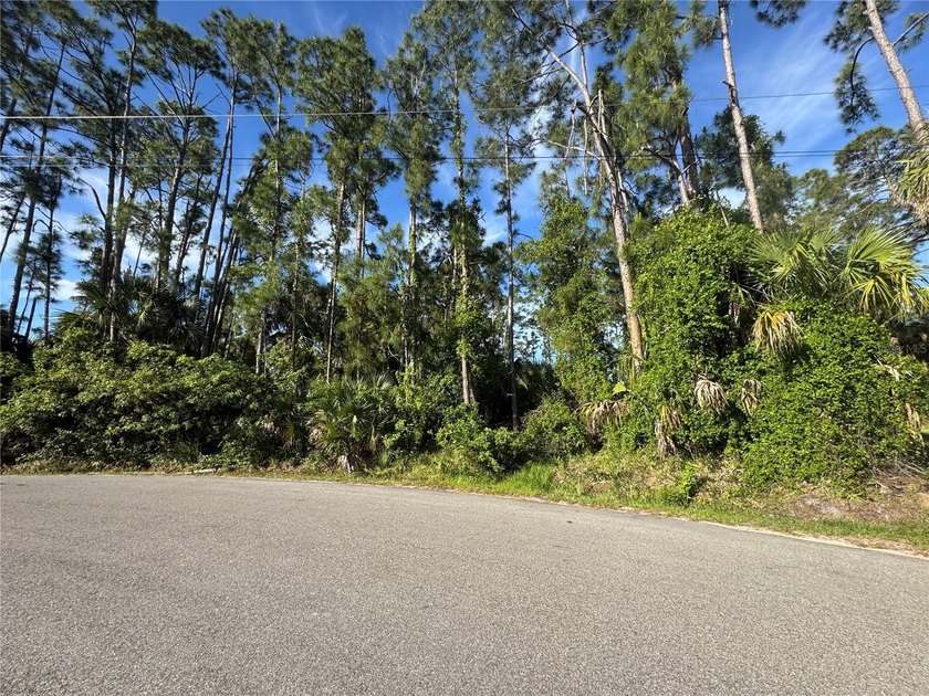 Discover the perfect opportunity to build your dream home on - Beach Lot for sale in North Port, Florida on Beachhouse.com