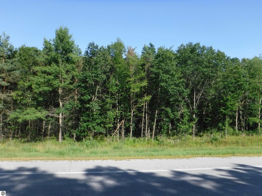 Nicely wooded lot on US-23, just north of the railroad tracks - Beach Acreage for sale in Harrisville, Michigan on Beachhouse.com
