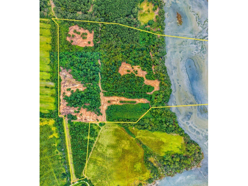 Gorgeous Wadmalaw Island acreage (50 high acres) in predominant - Beach Acreage for sale in Wadmalaw Island, South Carolina on Beachhouse.com