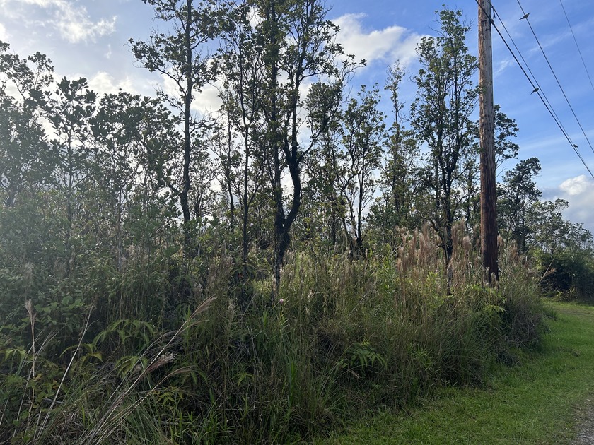 THIS UNSPOILED 3 ACRES OF NATIVE HAWAIIAN FOREST IS THE PERFECT - Beach Acreage for sale in Volcano, Hawaii on Beachhouse.com