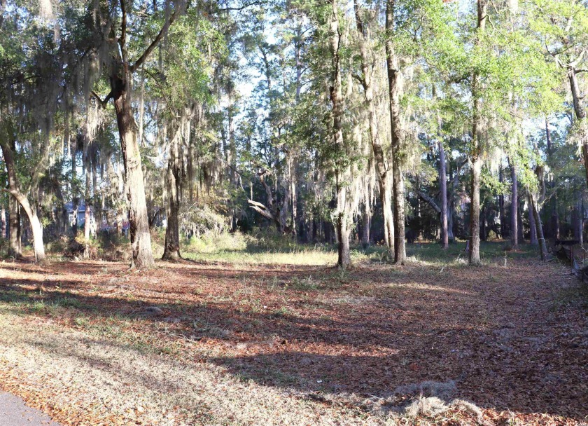 Incredible opportunity to own 0.59 acres in the prestigious - Beach Lot for sale in Pawleys Island, South Carolina on Beachhouse.com