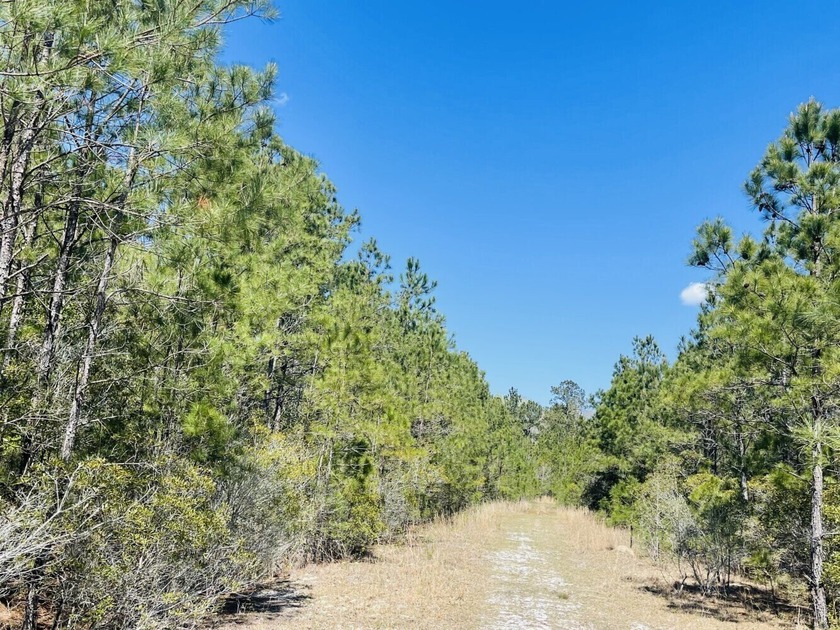The last 10+/- acres of Skylee with sandy land and a private - Beach Acreage for sale in Shallotte, North Carolina on Beachhouse.com
