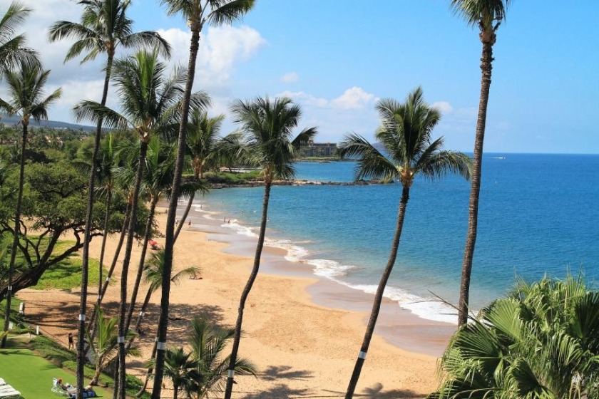 Gorgeous Oceanfront Condo! - Kamaole Nalu #604 - Beach Vacation Rentals in Kihei, Maui, Hawaii on Beachhouse.com