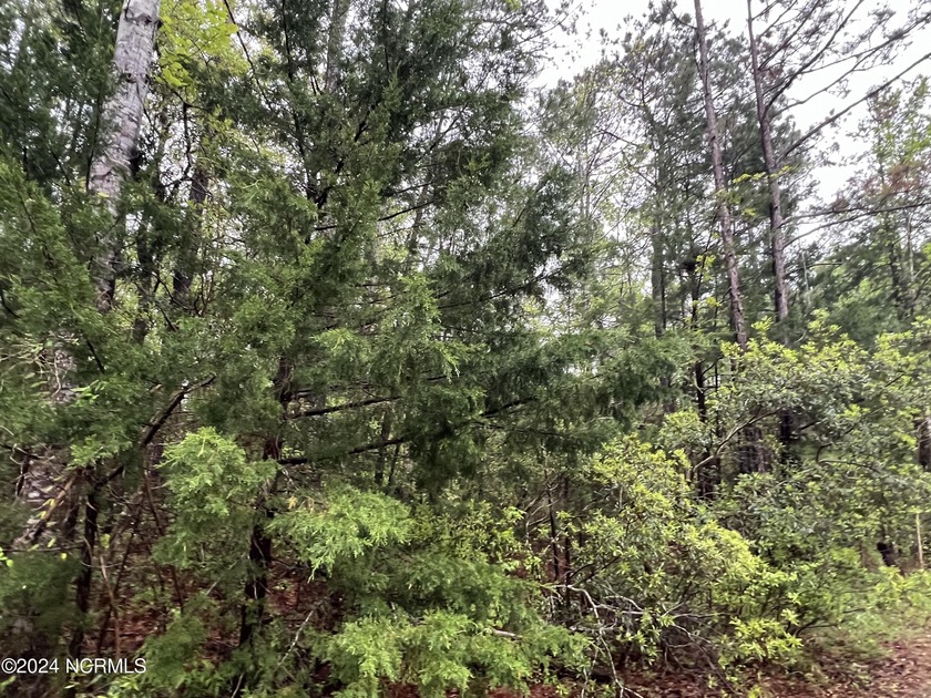 Cash or Owner Financing lot only a few miles to Holden Beach, NC - Beach Lot for sale in Supply, North Carolina on Beachhouse.com