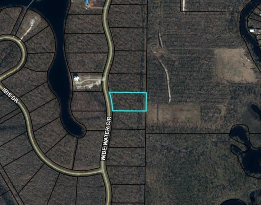 Gated Wetappo Subdivision 1.73 Acre Lot 9 is a perfect place to - Beach Lot for sale in Wewahitchka, Florida on Beachhouse.com