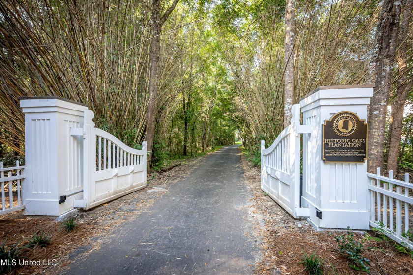 Gorgeous, centuries-old majestic oaks line these level, one-acre - Beach Lot for sale in Ocean Springs, Mississippi on Beachhouse.com