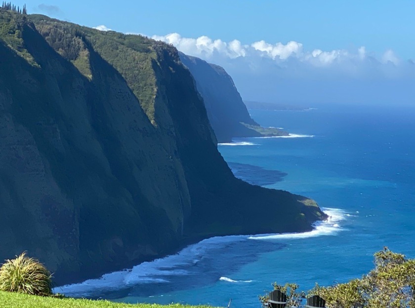 Breathtaking, amazing spectacular, soaring views! High end - Beach Home for sale in Honokaa, Hawaii on Beachhouse.com