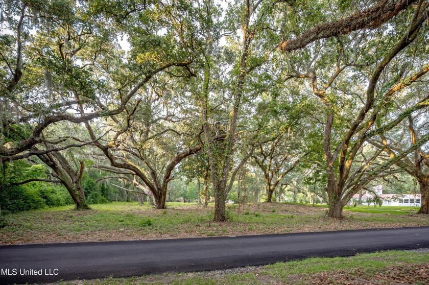 Gorgeous, centuries-old majestic oaks line these level, one-acre - Beach Lot for sale in Ocean Springs, Mississippi on Beachhouse.com