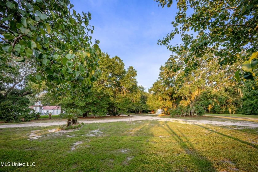 Gorgeous, centuries-old majestic oaks line these level, one-acre - Beach Lot for sale in Ocean Springs, Mississippi on Beachhouse.com
