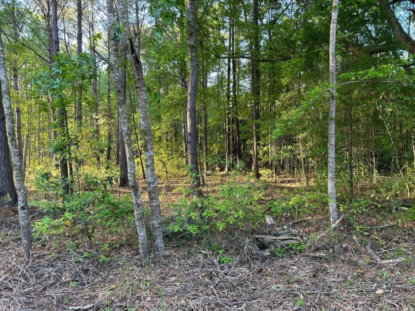 Wooded Acre lot just 30 min South of Charleston - 20 min to - Beach Lot for sale in Hollywood, South Carolina on Beachhouse.com