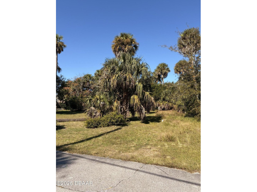 This vacant residential lot offers a prime opportunity in an - Beach Lot for sale in Ormond Beach, Florida on Beachhouse.com