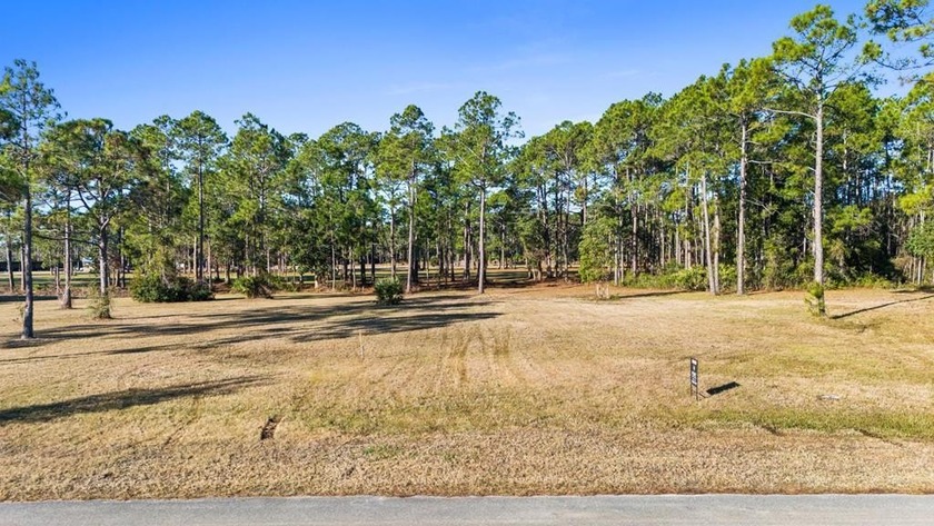 This lot features a buildable portion in the X flood zone - Beach Lot for sale in Port St Joe, Florida on Beachhouse.com