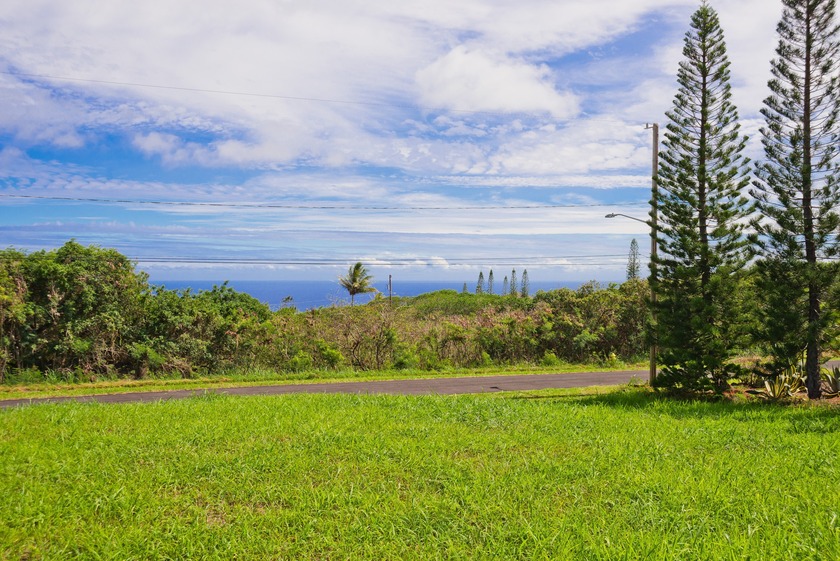 Build-ready ocean view lot WITH SEPTIC IN in Discovery Harbour - Beach Lot for sale in Naalehu, Hawaii on Beachhouse.com