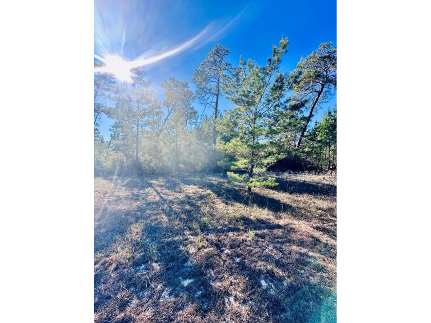 Tucked inside Lake Pristine, this homesite in Carrabelle offers - Beach Lot for sale in Carabelle, Florida on Beachhouse.com