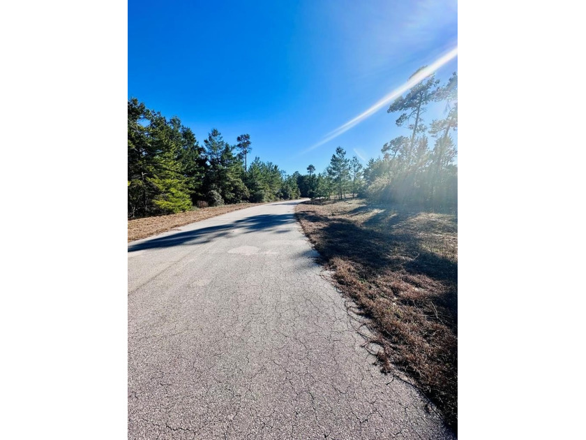 Discover the beauty of simple coastal living on this beautiful - Beach Lot for sale in Carabelle, Florida on Beachhouse.com