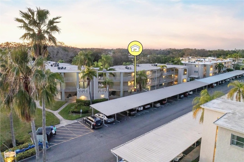 Looking for an affordable Dunedin condo with a lake view - Beach Condo for sale in Dunedin, Florida on Beachhouse.com