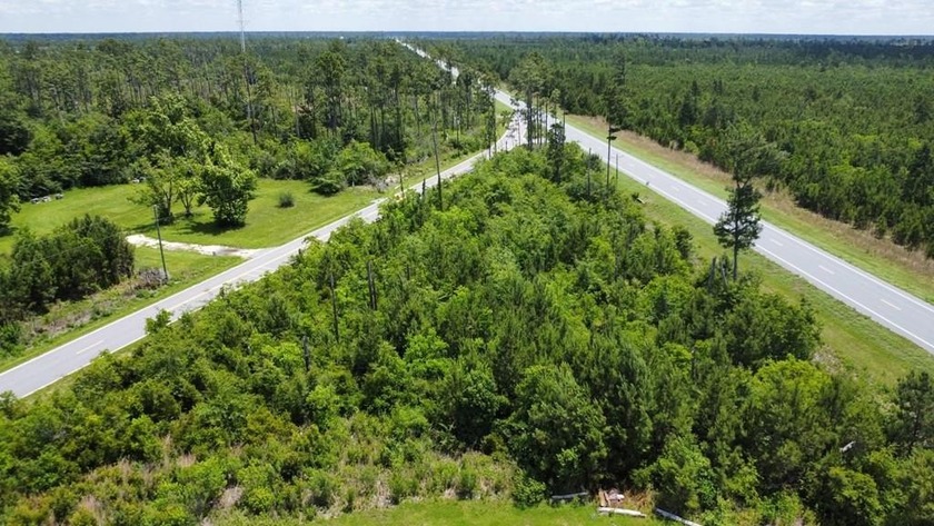 Endless Possibilities Await! Just under 1 acre of prime - Beach Lot for sale in Wewahitchka, Florida on Beachhouse.com
