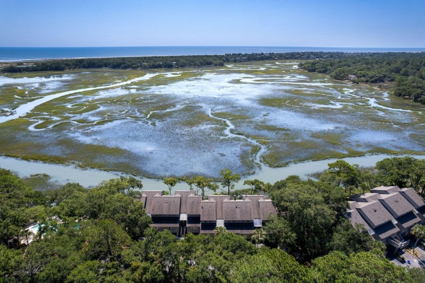 One of the most stunning, expansive views on Seabrook Island - Beach Home for sale in Seabrook Island, South Carolina on Beachhouse.com