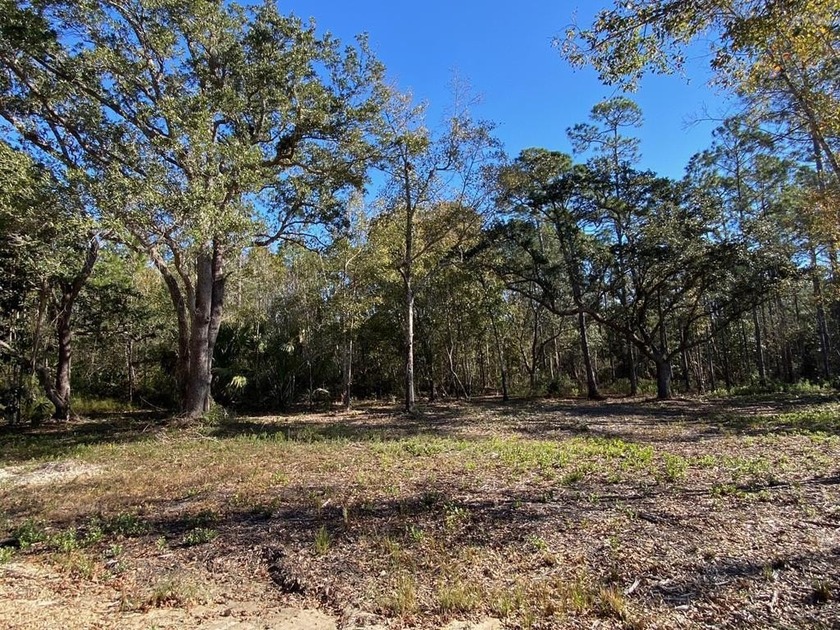 3.67 acres  Residential land  Near St. Joseph Bay   Vacant - Beach Acreage for sale in Port St Joe, Florida on Beachhouse.com