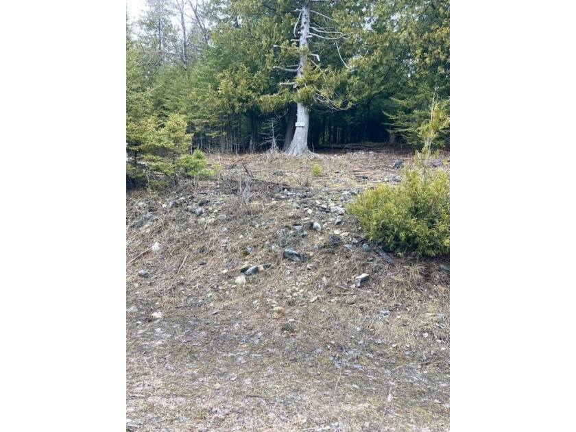 Building lot with water access in Channel View East Condo - Beach Lot for sale in Drummond Island, Michigan on Beachhouse.com