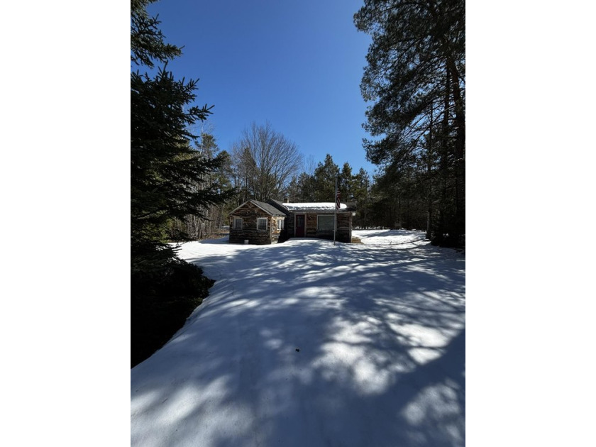 Calling all outdoor enthusiasts.  A rustic get away just outside - Beach Home for sale in Trout Lake, Michigan on Beachhouse.com