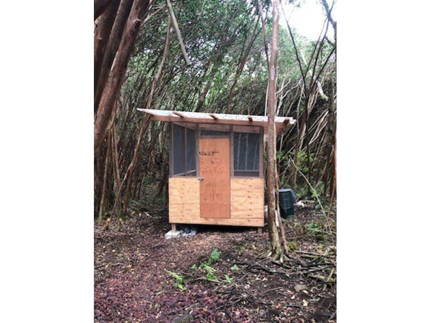 Nestled among the native guava and large Ohia trees is an 8x8 - Beach Lot for sale in Pahoa, Hawaii on Beachhouse.com