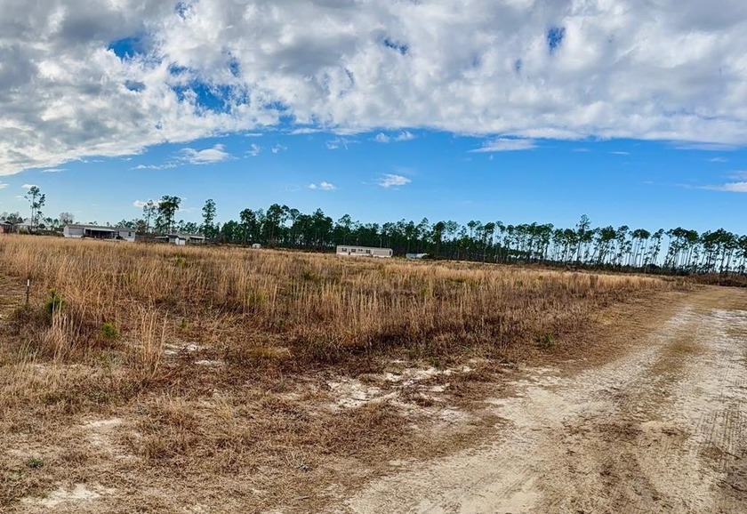 0.74-acre cleared lot  No HOA  RVs permitted  X Flood Zone  Near - Beach Lot for sale in Wewahitchka, Florida on Beachhouse.com