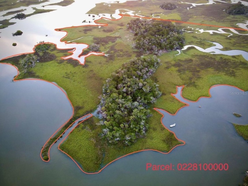 WOW, great opportunity to own your very own ISLAND - Beach Acreage for sale in Yankeetown, Florida on Beachhouse.com