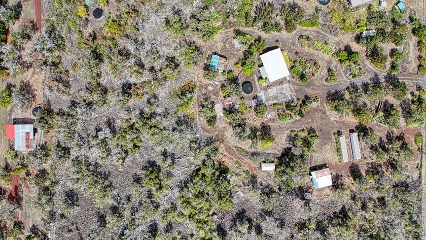 Discover two acres of privacy and possibility in Hawaiian Ocean - Beach Home for sale in Ocean View, Hawaii on Beachhouse.com