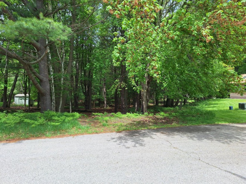 Possibly the last chance to own a piece of this quiet cul de - Beach Lot for sale in Ludington, Michigan on Beachhouse.com