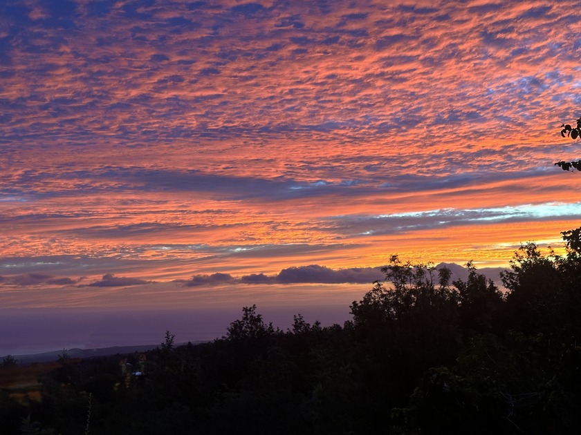 Value and flexibility in a tropical setting-this property - Beach Home for sale in Ocean View, Hawaii on Beachhouse.com
