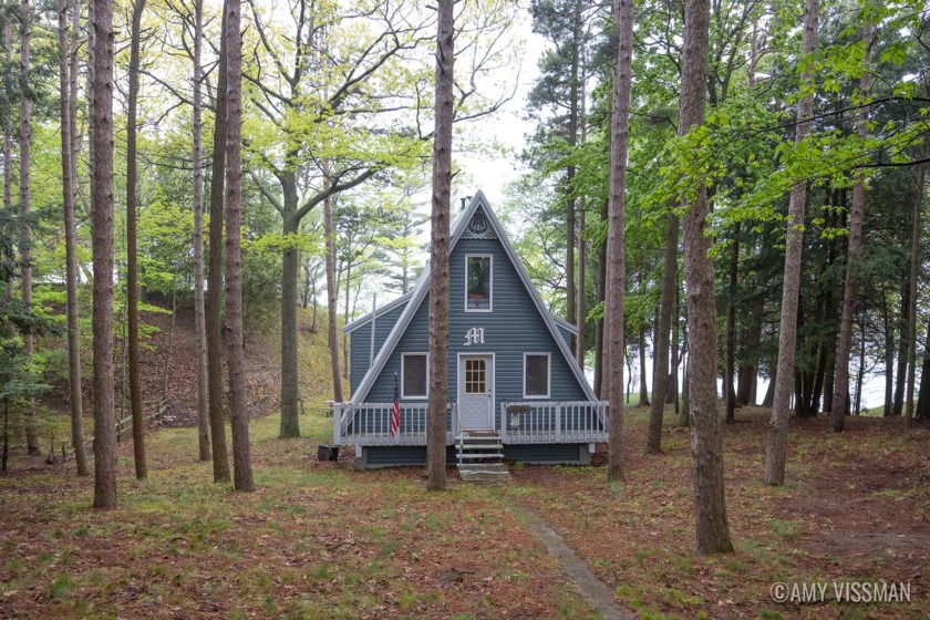 PRIVATE Lake Michigan Frontage awaits!
This is your chance to - Beach Home for sale in Manistee, Michigan on Beachhouse.com
