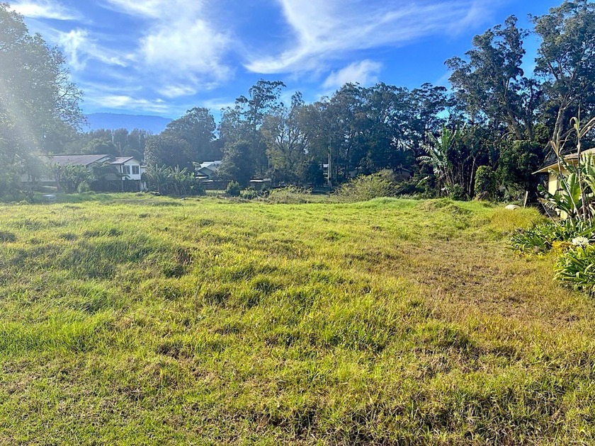Ready to build your Hawai'i home? This grassy parcel in - Beach Lot for sale in Kamuela, Hawaii on Beachhouse.com