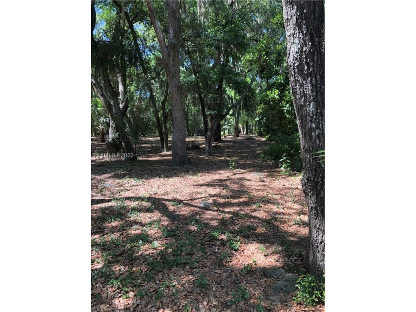 One of the last full sized homesites. Just under 3/4 acre with - Beach Lot for sale in Hilton Head Island, South Carolina on Beachhouse.com