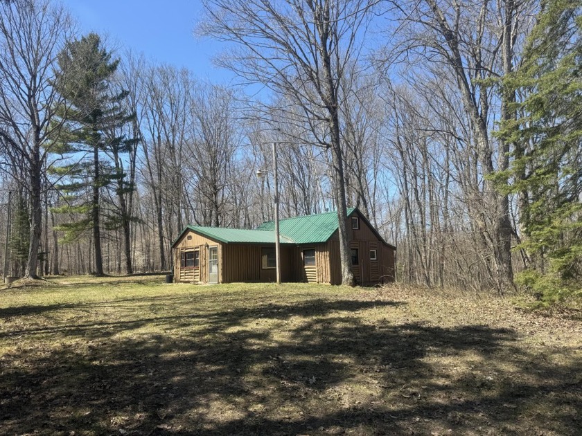 This unique cottage sits high on a hill among 40 acres of mixed - Beach Home for sale in Mcmillan, Michigan on Beachhouse.com