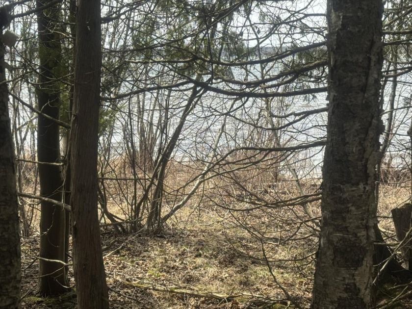 This 191' waterfront lot on North Manistique Lake( AKA Round - Beach Lot for sale in Mcmillan, Michigan on Beachhouse.com