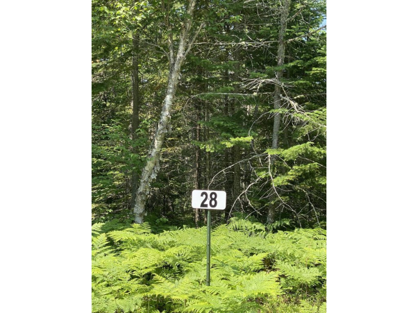 These lots can be accessed directly on Whitefish Point Rd or via - Beach Lot for sale in Paradise, Michigan on Beachhouse.com