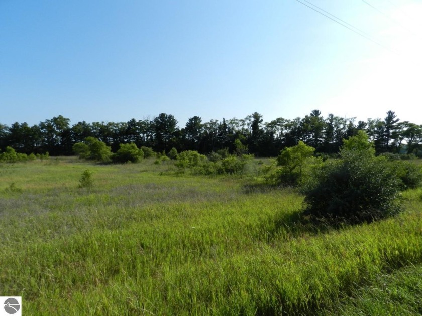 LEELANAU CO VACANT PARCEL - 4.02 ACRES on W Empire Hwy (M-72) - Beach Acreage for sale in Empire, Michigan on Beachhouse.com