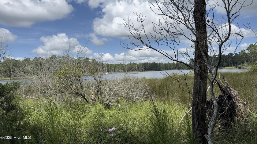 Tucked away in the private, gated community of Bailey Pointe - Beach Acreage for sale in Belhaven, North Carolina on Beachhouse.com