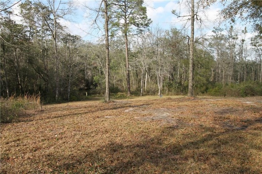 Discover your dream home site at Lot 11 - The Bluffs at Cypress - Beach Lot for sale in Mobile, Alabama on Beachhouse.com