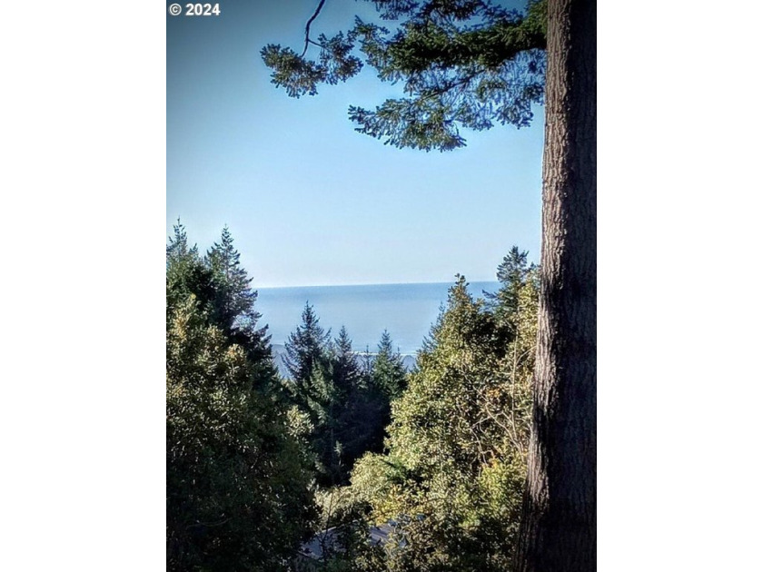 Gorgeous lot in the serene Carpenterville hills, build ready - Beach Lot for sale in Brookings, Oregon on Beachhouse.com