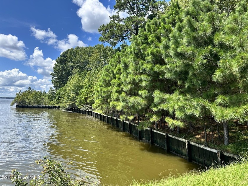 Located on the Perquimans River, this waterfront lot is waiting - Beach Lot for sale in Hertford, North Carolina on Beachhouse.com