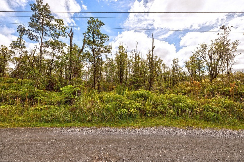 Enjoy the cooler elevation of Volcano on this 3 acre parcel - Beach Acreage for sale in Volcano, Hawaii on Beachhouse.com