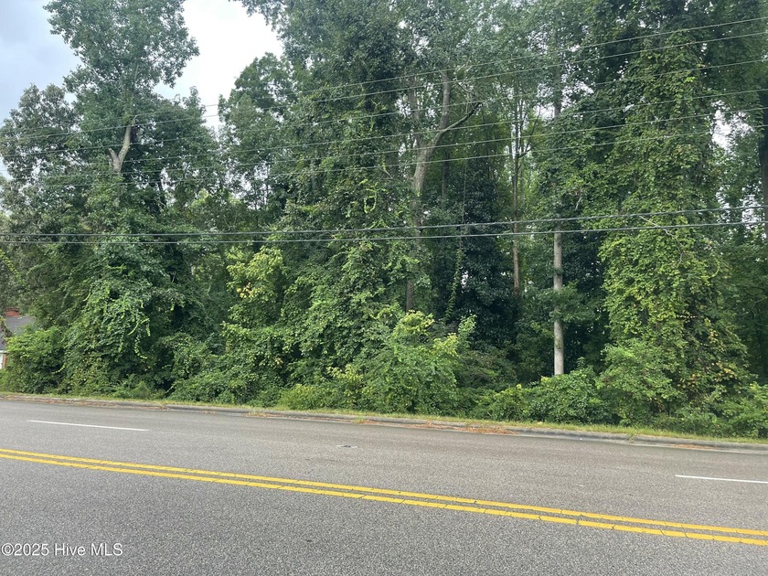 One acre undeveloped lot is in a nice area and could be used for - Beach Lot for sale in Washington, North Carolina on Beachhouse.com